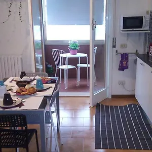 Orchidea Parma